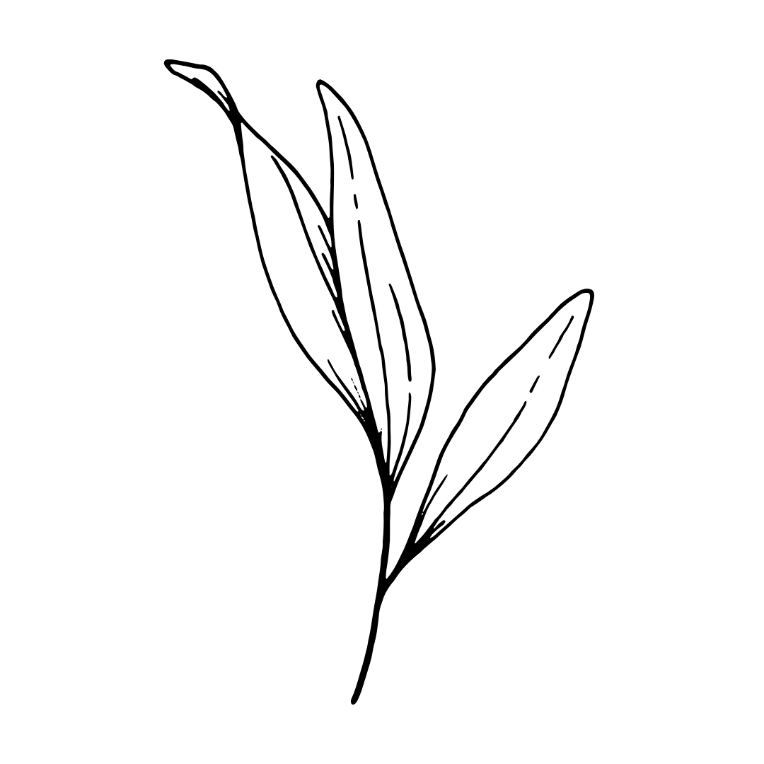 Your Brand Logo