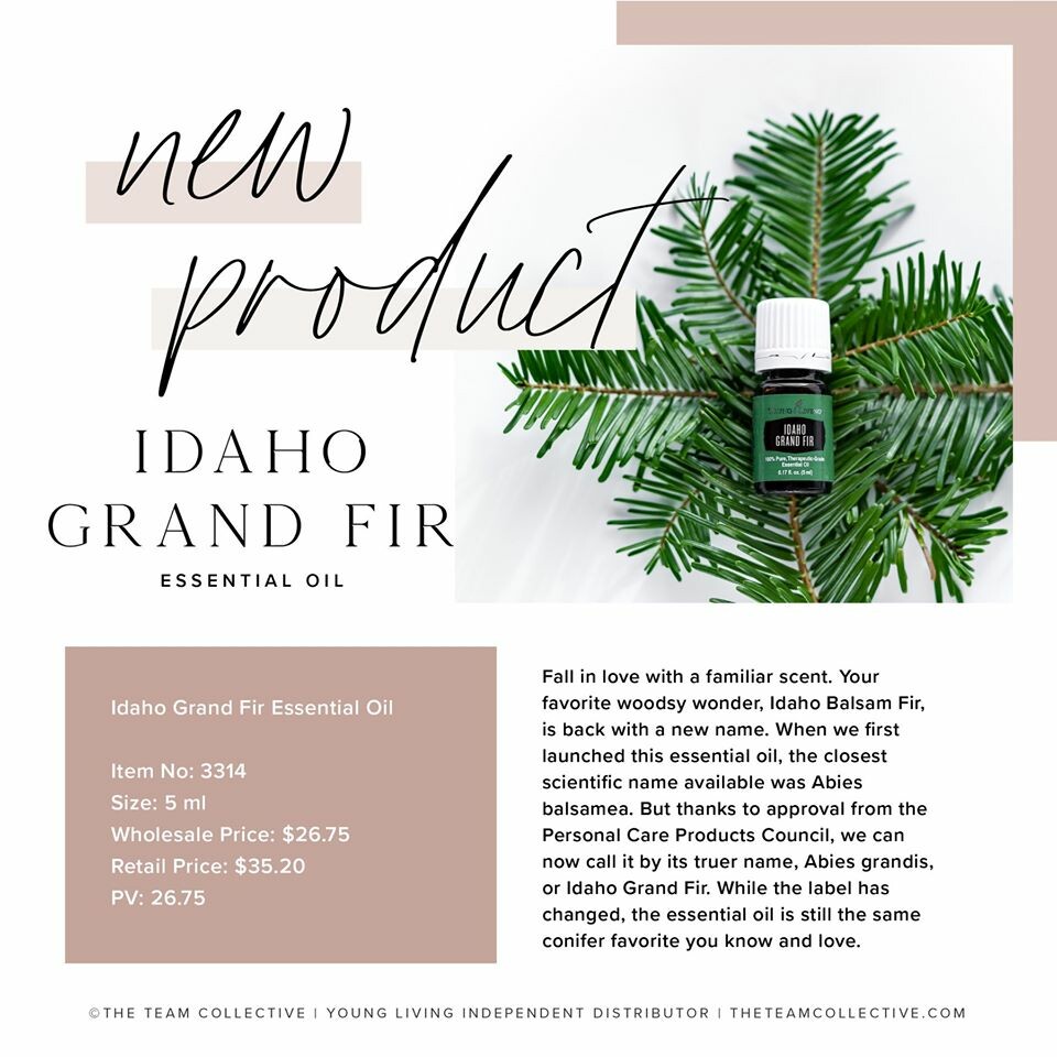 Grand fir idaho Species: Abies