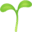 🌱