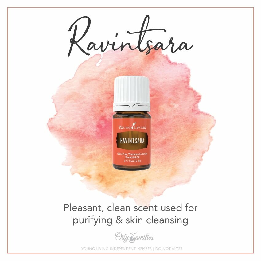 Ravintsara Essential Oil  Benefits & Uses - Young Living Blog EU