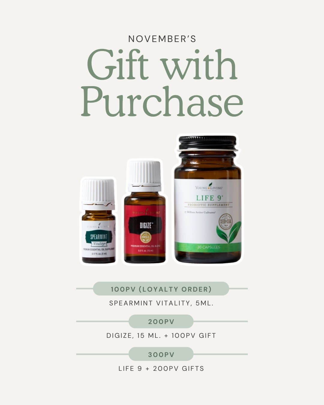 November Gifts with Purchase