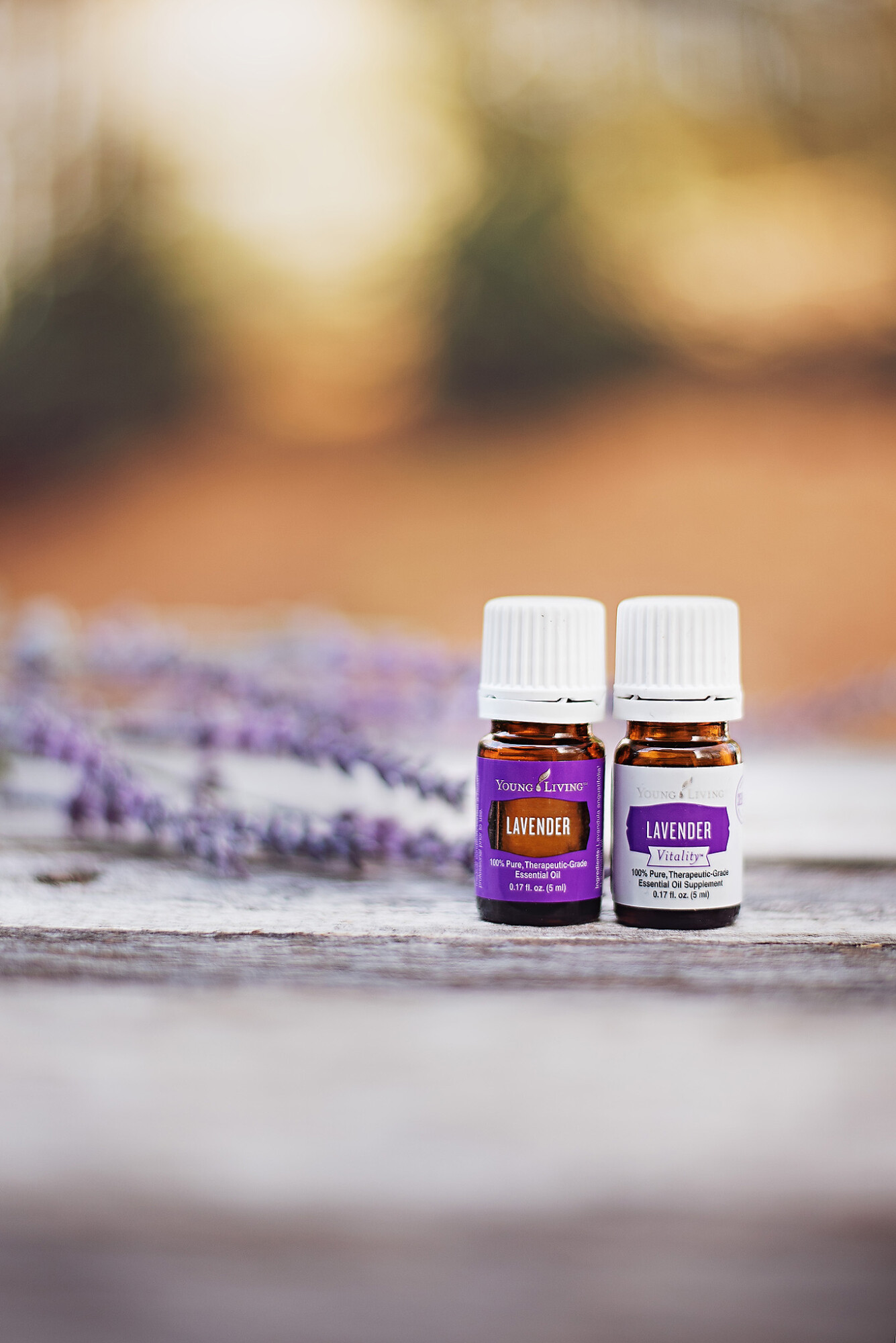 Young Living lavender essential oil and lavender vitality essential oil 