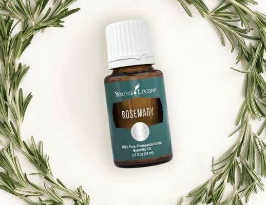 Rosemary essential oil is a great way to awaken the mind and be ready to learn.