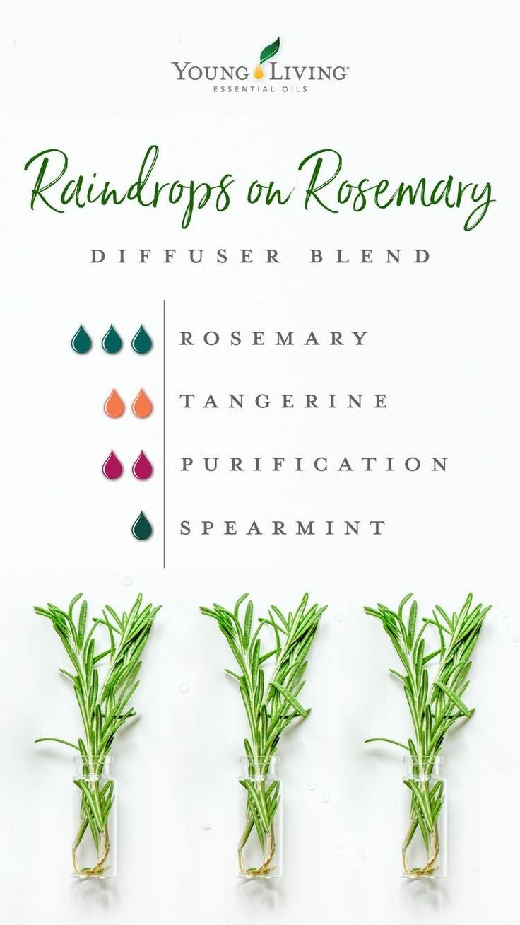 Try this Rosemary based diffuser recipe to have the memory boosting & refreshing scent in your whole room!