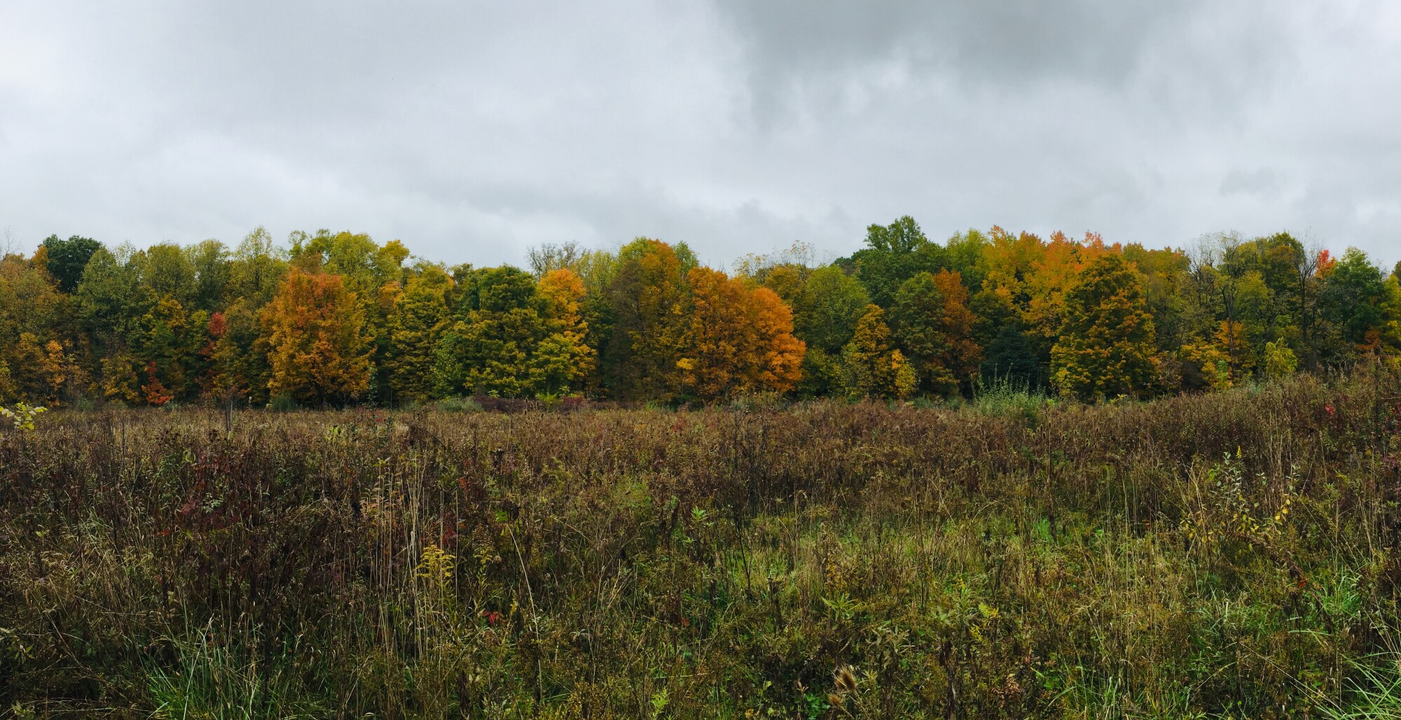 Indiana hiking is at its finest when we trek through fall colors near Lake Salamonie in northern Indiana on our latest Karth Trek!