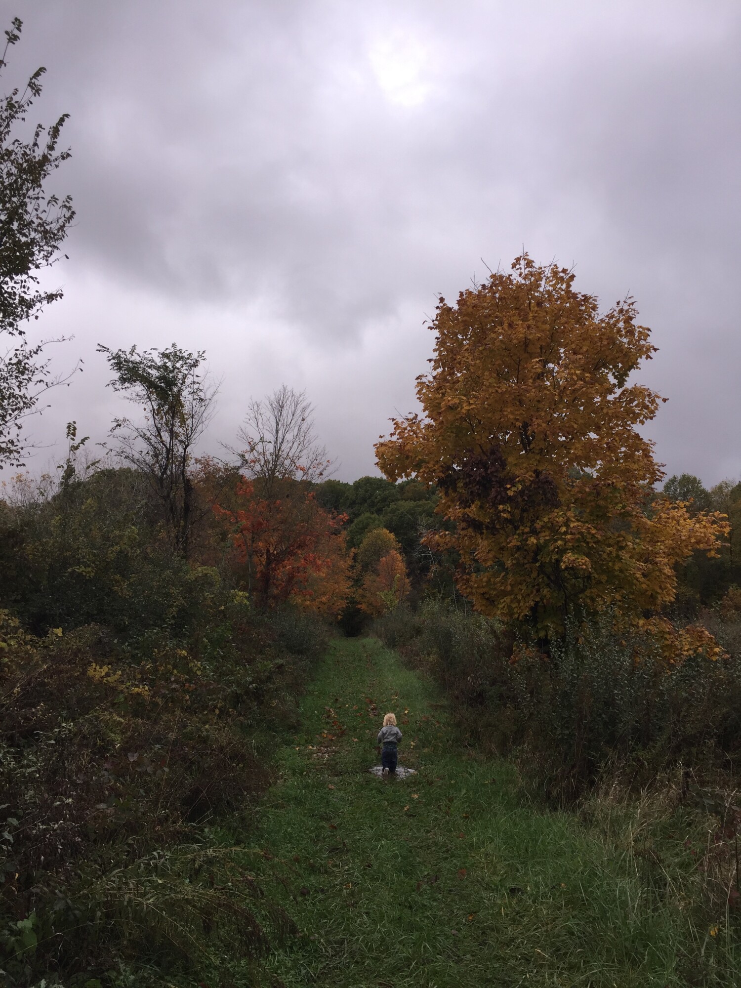 Like most of northern Indiana, the Bloodroot trail can get quite muddy so be prepared to get your feet wet or dress appropriately!