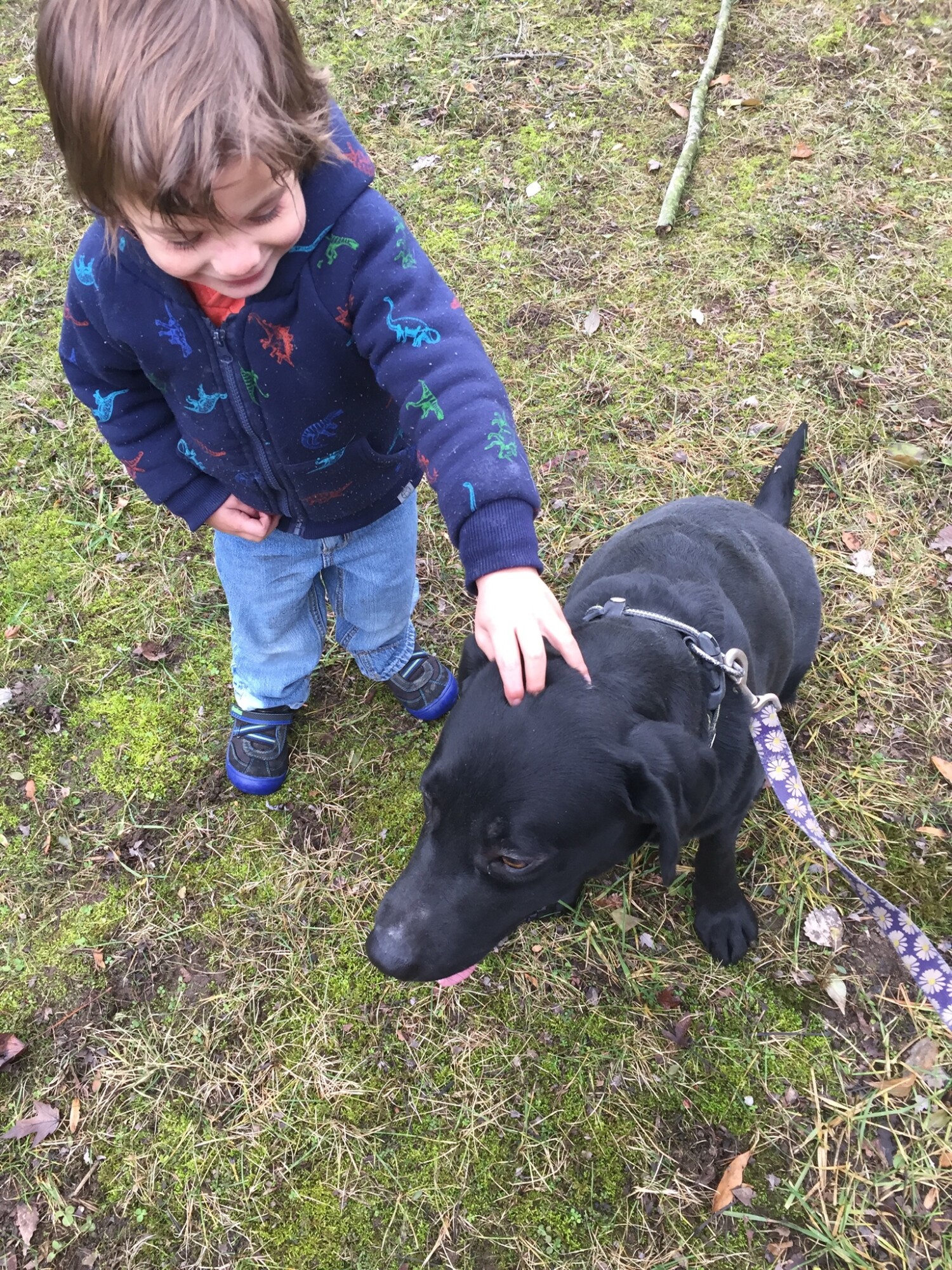 When our family isn’t homeschooling or sharing Young Living, we are out hiking in the wild. We call this Karth Trek, because we are boldly going somewhere new or rediscovering an old favorite nature trail. Four kids and a dog as our plus ones! 