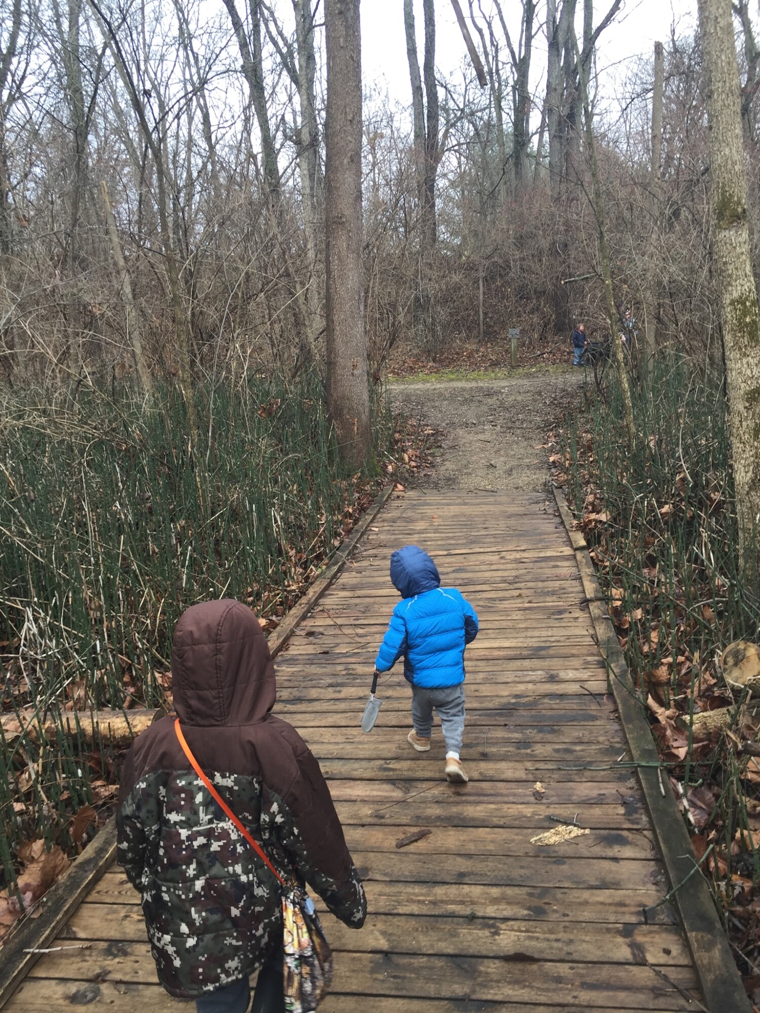 When our family isn’t homeschooling or sharing Young Living, we are out hiking in the wild. We call this Karth Trek, because we are boldly going somewhere new or rediscovering an old favorite nature trail. Four kids and a dog as our plus ones! 