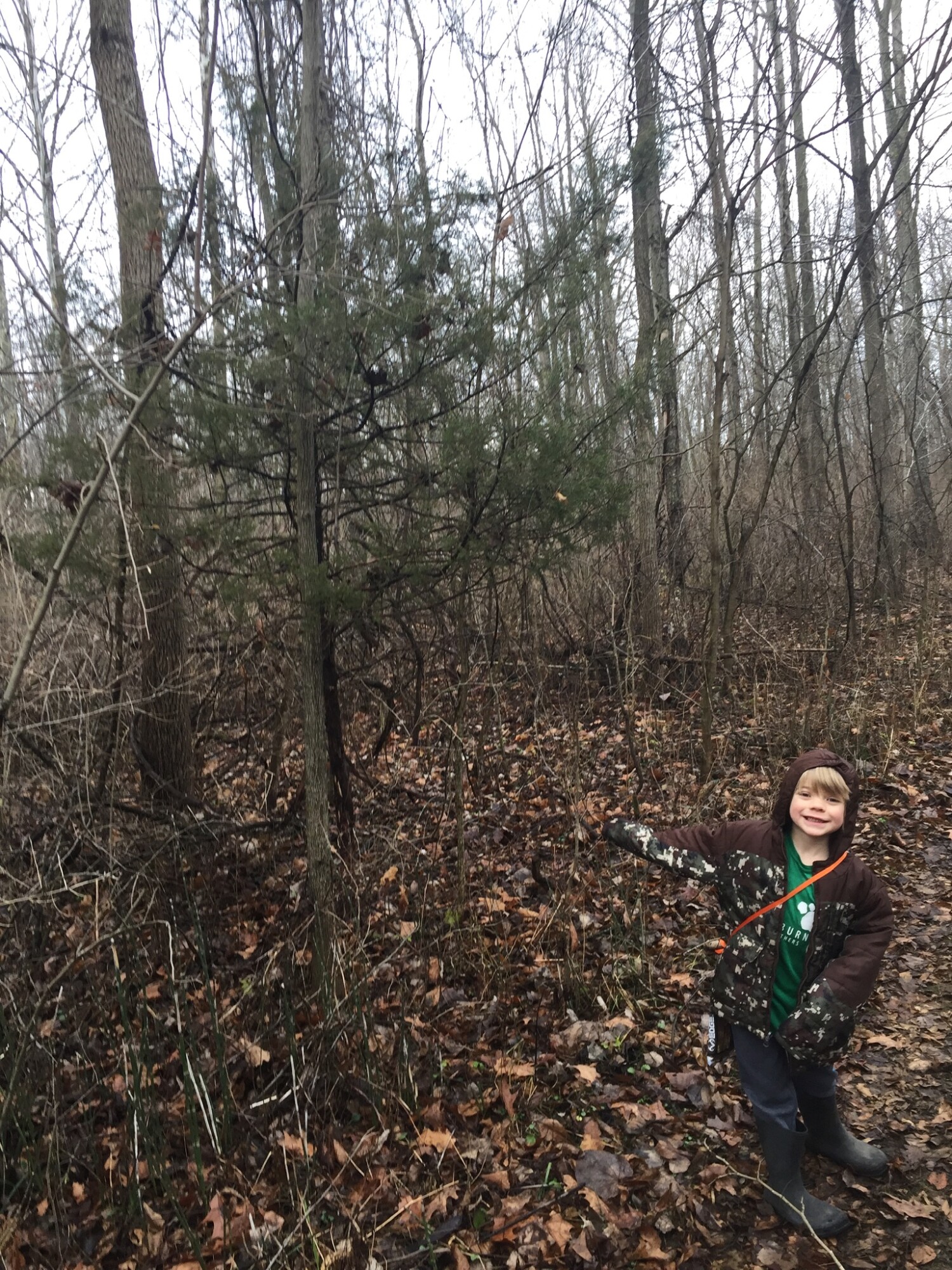 When our family isn’t homeschooling or sharing Young Living, we are out hiking in the wild. We call this Karth Trek, because we are boldly going somewhere new or rediscovering an old favorite nature trail. Four kids and a dog as our plus ones! 