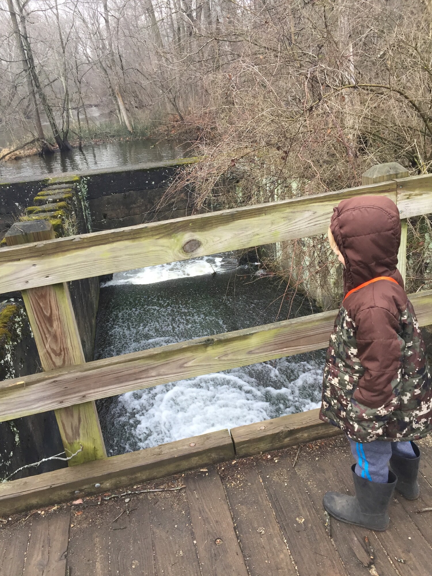 When our family isn’t homeschooling or sharing Young Living, we are out hiking in the wild. We call this Karth Trek, because we are boldly going somewhere new or rediscovering an old favorite nature trail. Four kids and a dog as our plus ones! 