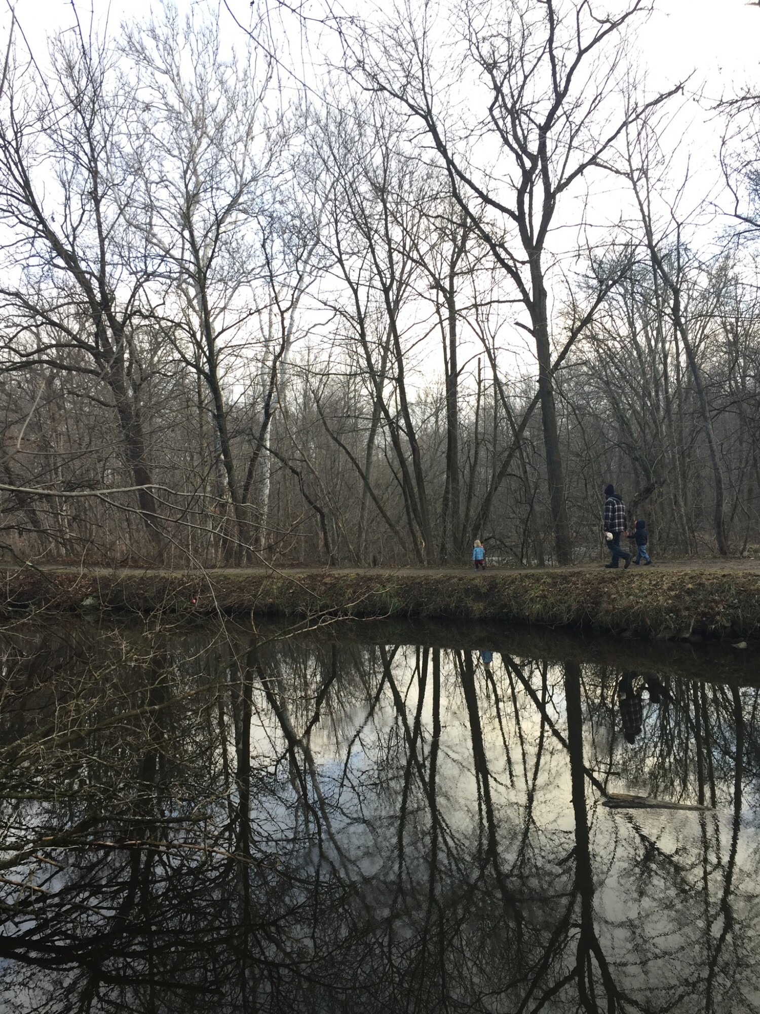 When our family isn’t homeschooling or sharing Young Living, we are out hiking in the wild. We call this Karth Trek, because we are boldly going somewhere new or rediscovering an old favorite nature trail. Four kids and a dog as our plus ones! 