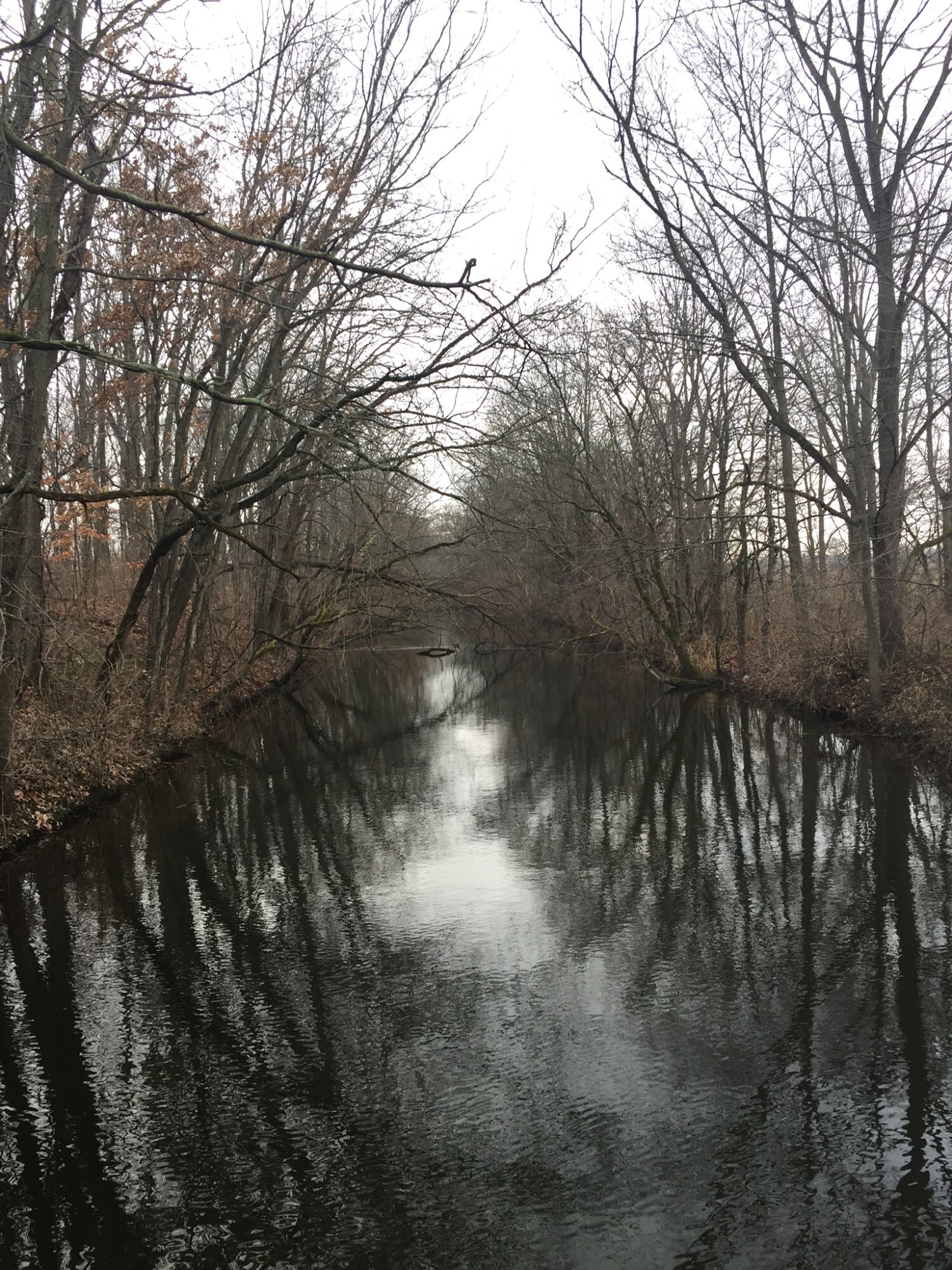 When our family isn’t homeschooling or sharing Young Living, we are out hiking in the wild. We call this Karth Trek, because we are boldly going somewhere new or rediscovering an old favorite nature trail. Four kids and a dog as our plus ones! 