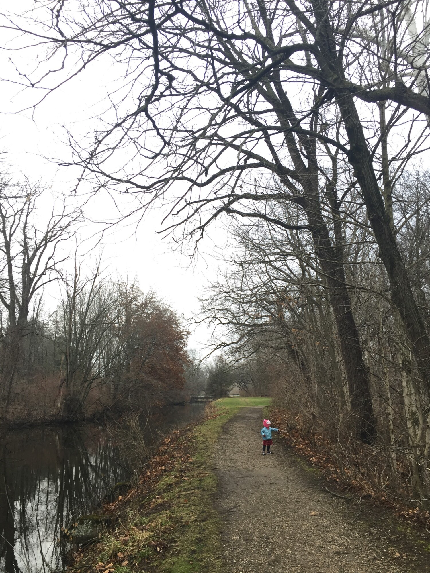 When our family isn’t homeschooling or sharing Young Living, we are out hiking in the wild. We call this Karth Trek, because we are boldly going somewhere new or rediscovering an old favorite nature trail. Four kids and a dog as our plus ones! 