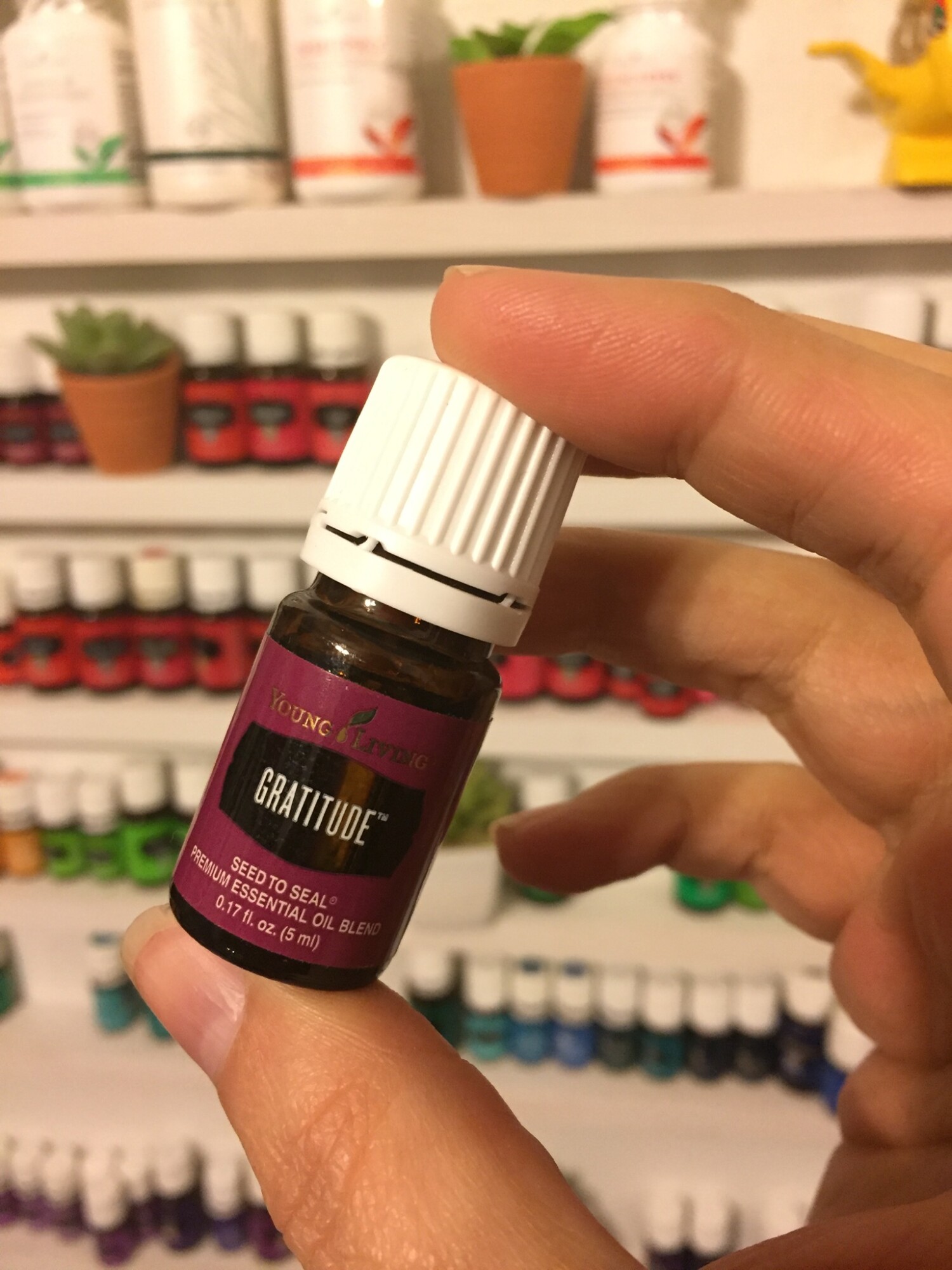 Use essential oils to help set your yearly goals or intentions to help keep your mind on what matters!