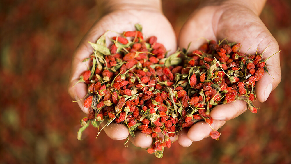 Our gorgeous wolf berries grow best in the Ningxia province in China, which is why we have our farm there