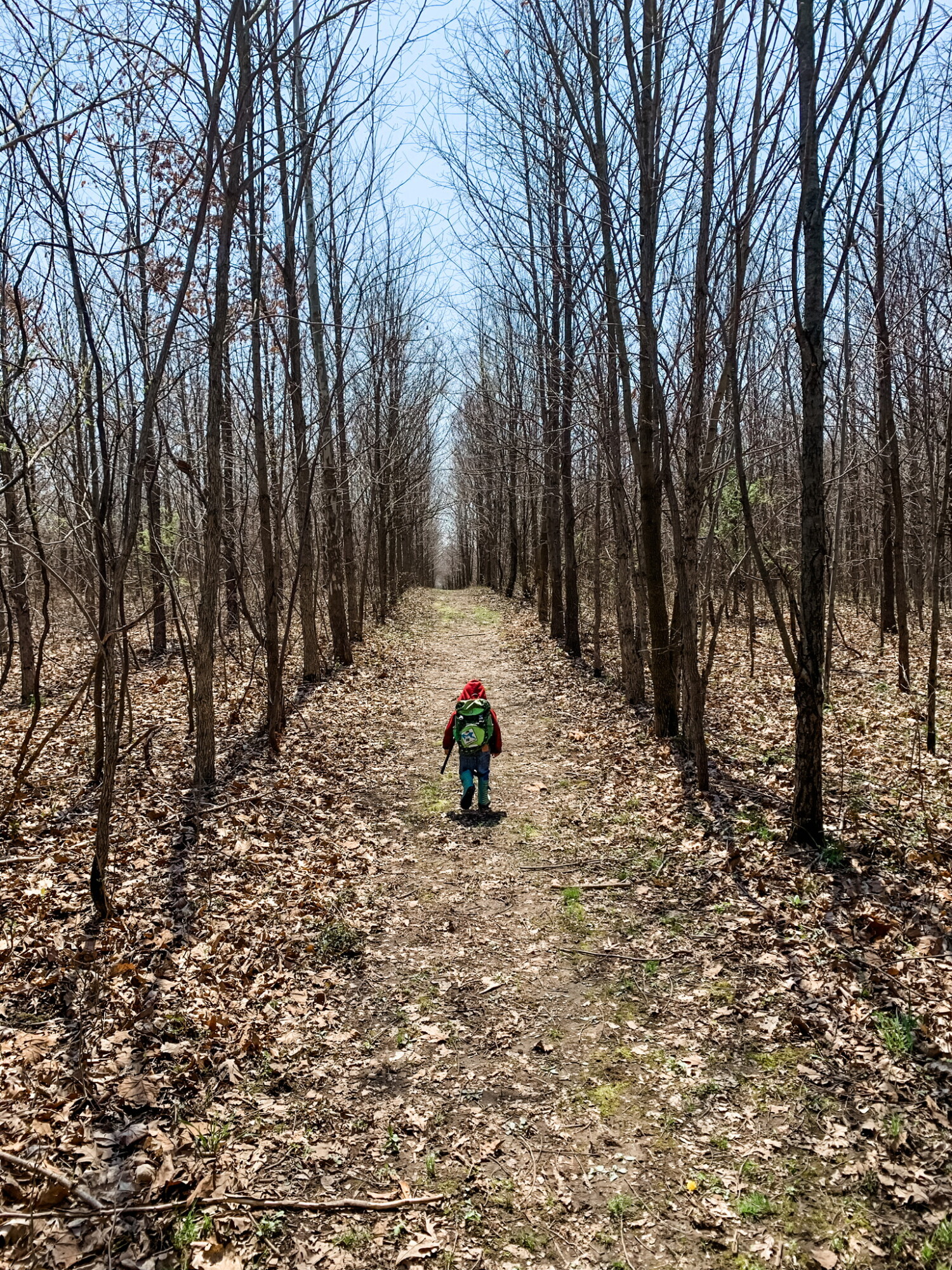 When we started hiking this meadow at Wildwood ACRES nature preserve, these trees were only waist high.