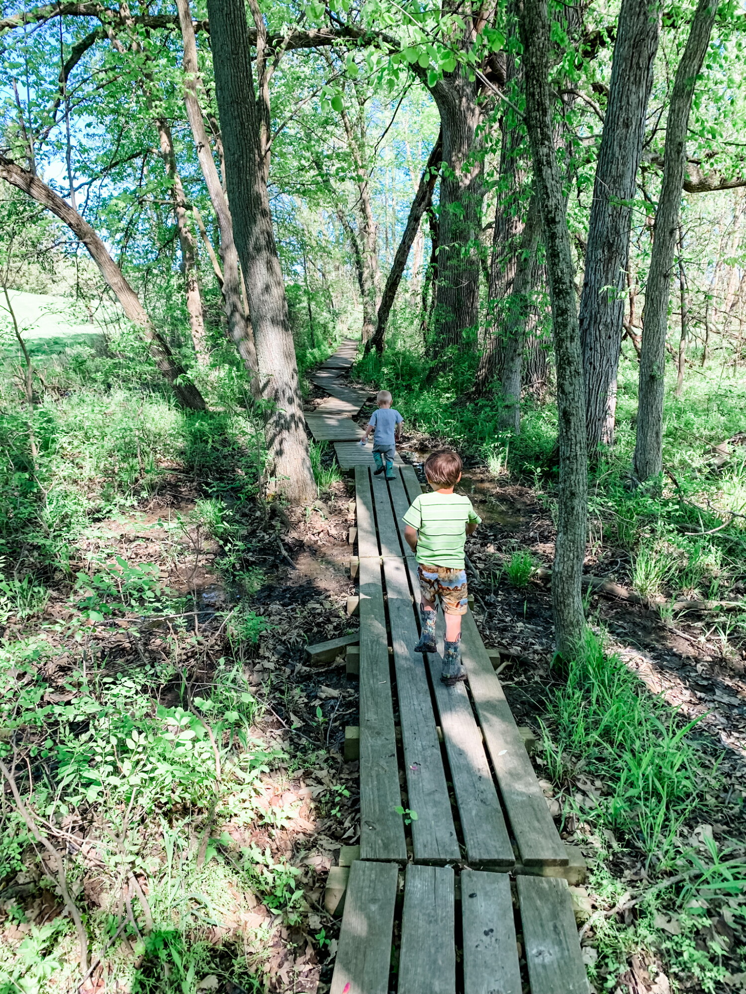 Two of my boys hiking the boardwalk at Bender Nature preserve