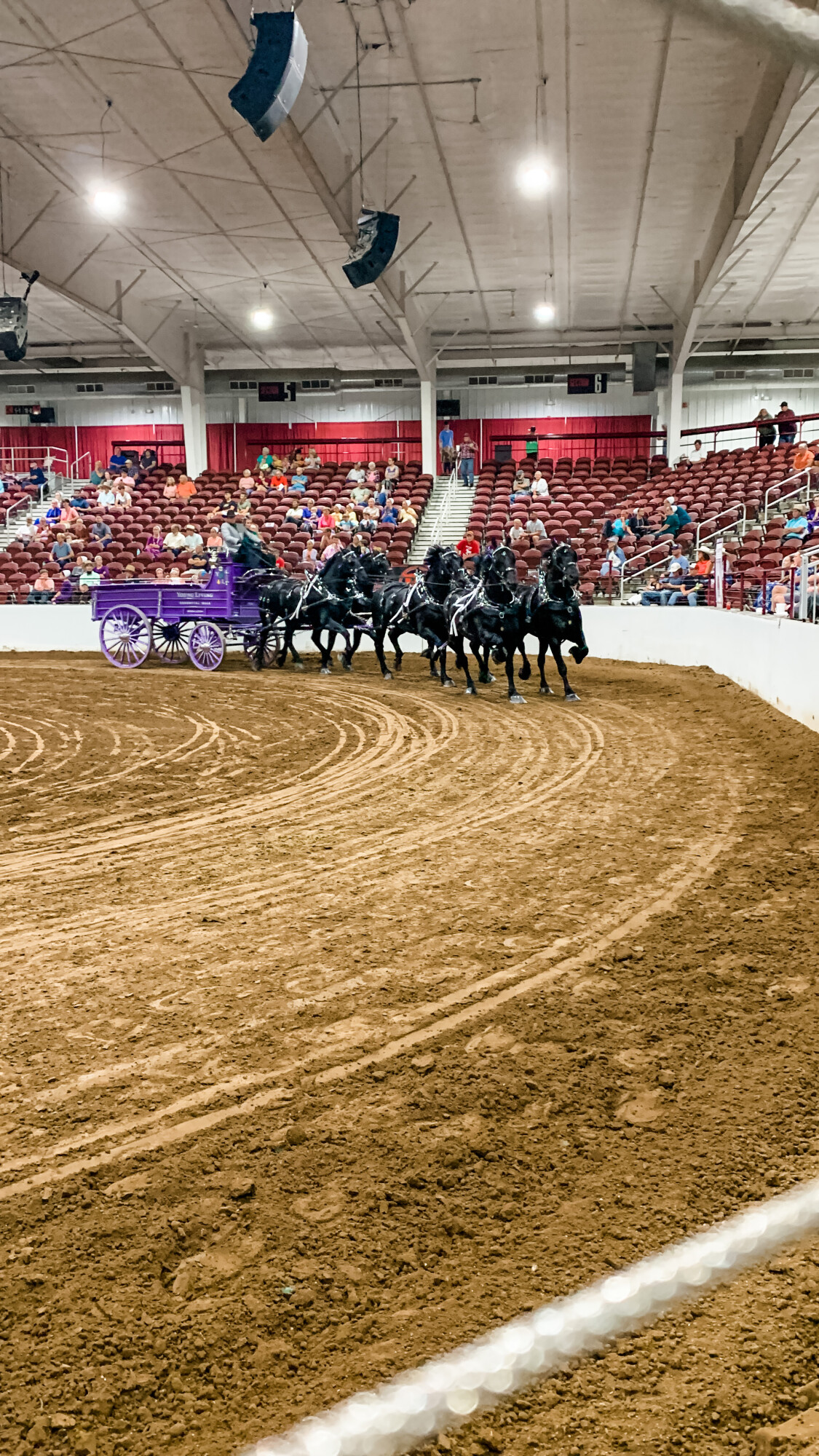 Watching the Young Living Percherons perform in the six horse hitch is always a highlight for our family!