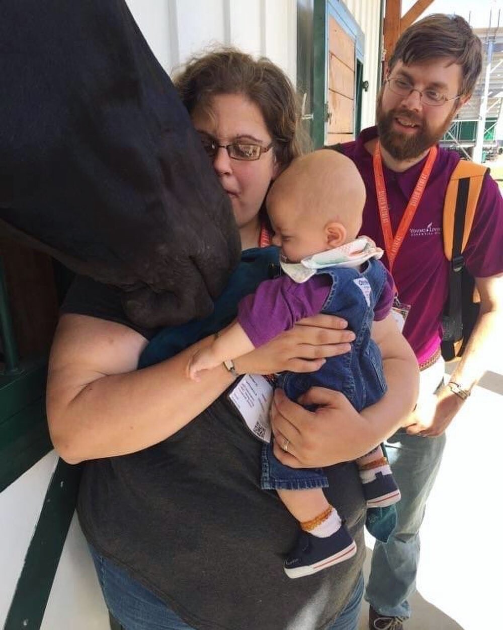 Jerome meeting his first horse ever, a black Percheron mare at the Young Living lavender farm in Mona Utah!