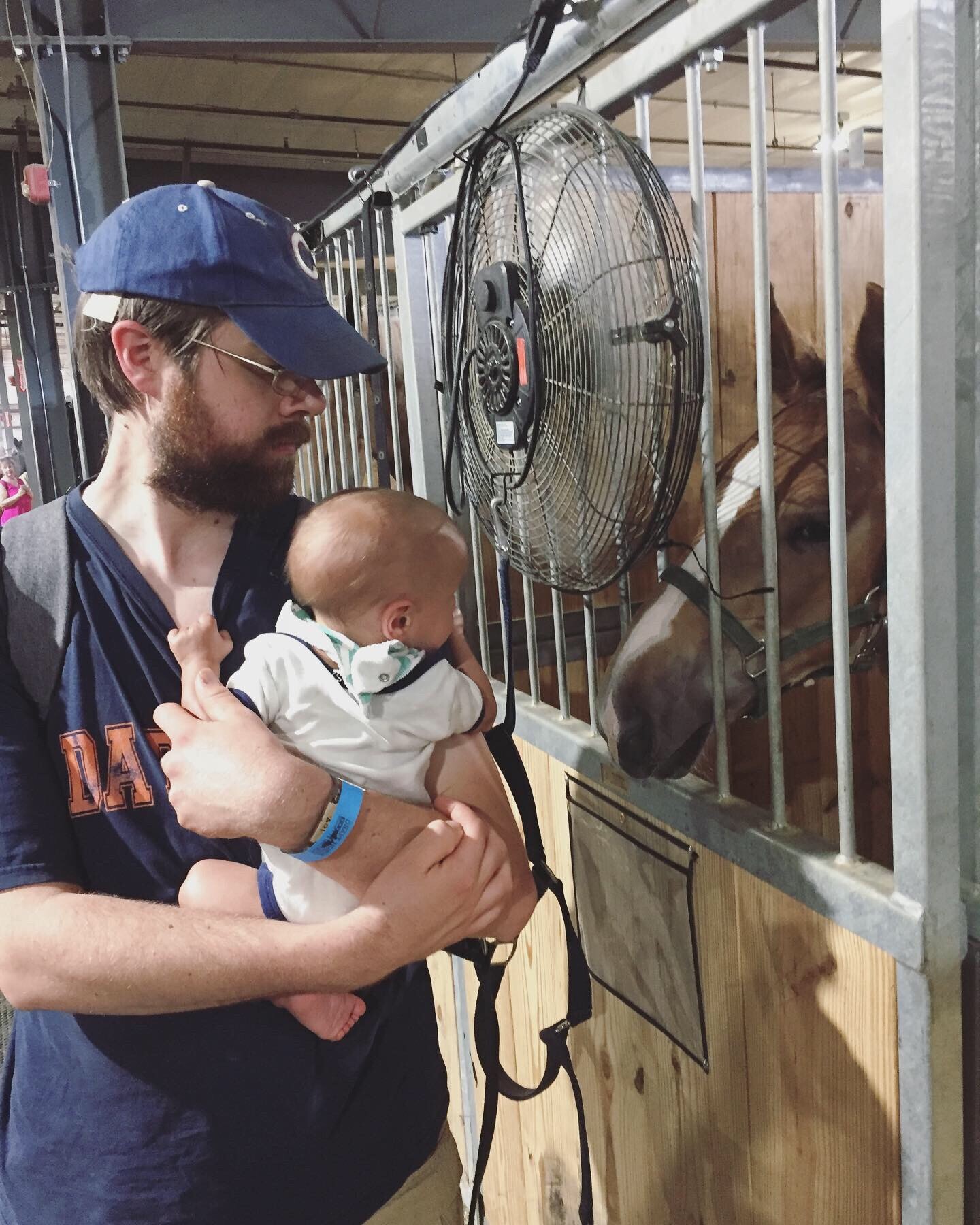 Ezra, at 10 months old, meeting a Belgian foal. Little did we know, this was love at first sight!