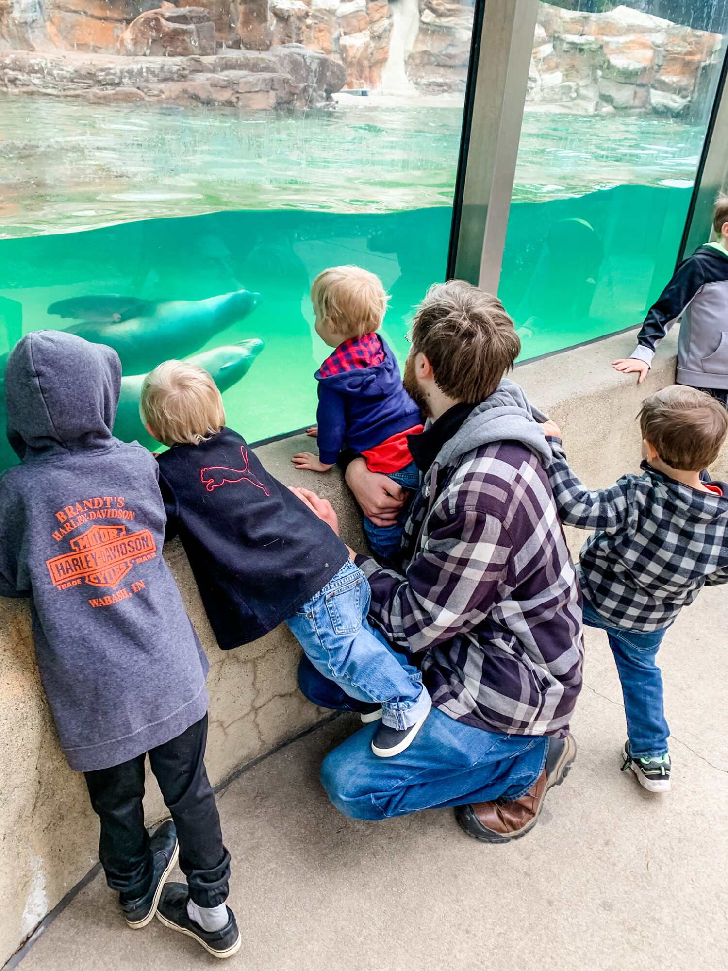 Our family enjoying a rip to the zoo!