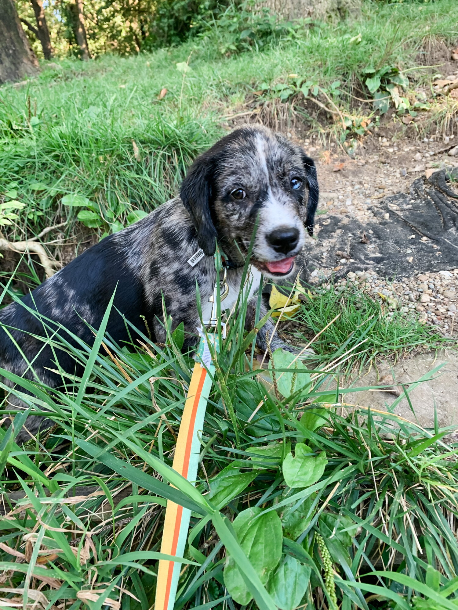 On her first hike, er, Karth Trek!