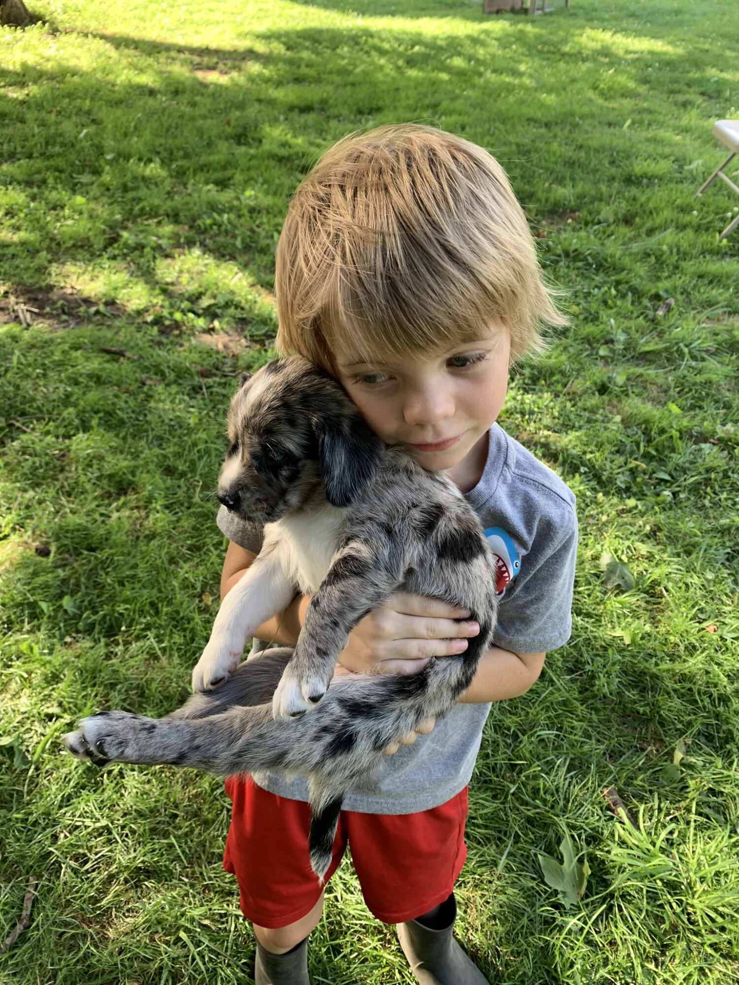 My oldest the day he met Cookie, when he started to convince us we needed another dog.