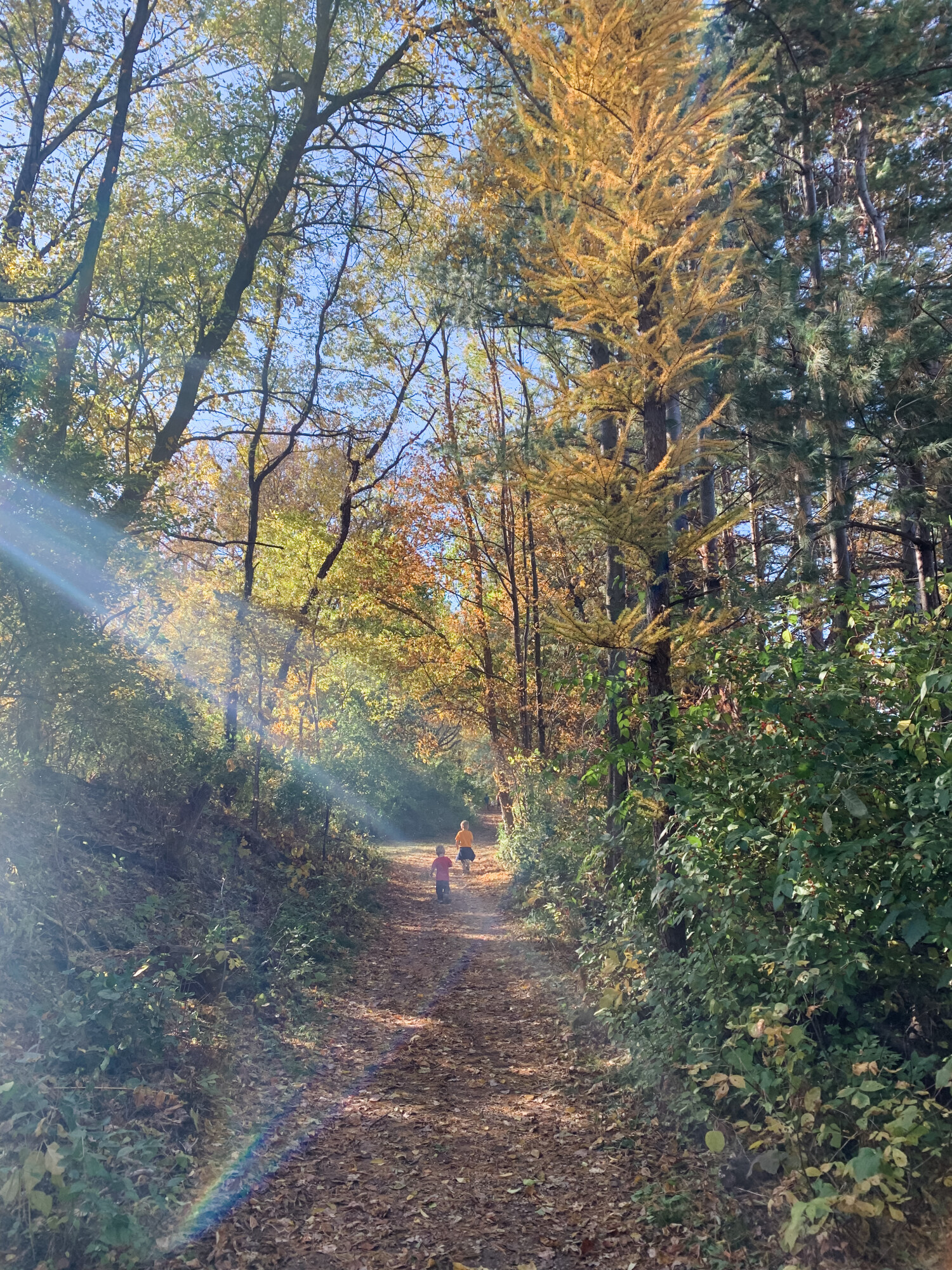 Beautiful days in the woods have helped us let go of stress and enjoy life!