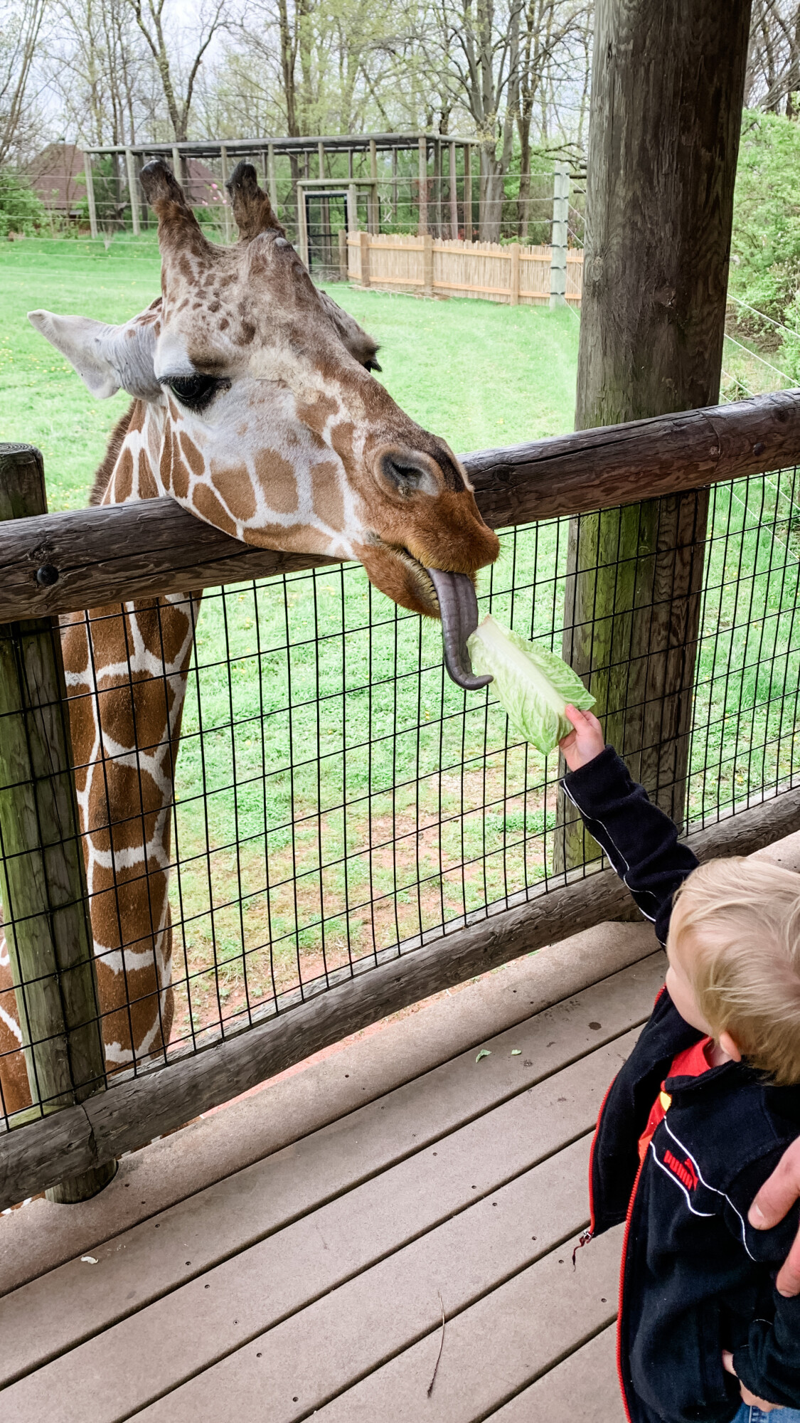 A *lot* of our hours were accomplished thanks to our local zoo! 