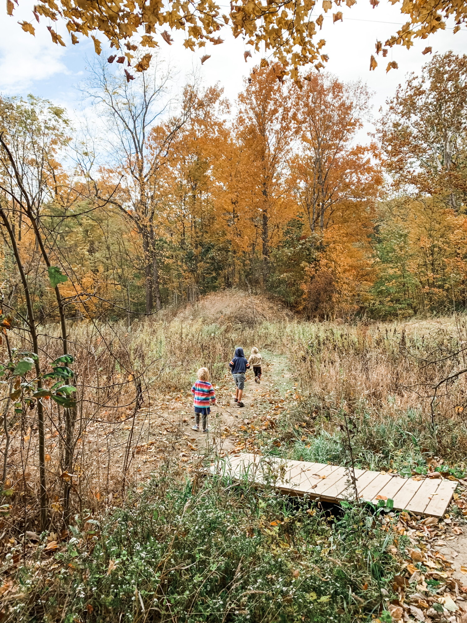 As the year progressed, I found it easier & easier to come up with excuses to be outside, and the kids loved our adventuring.