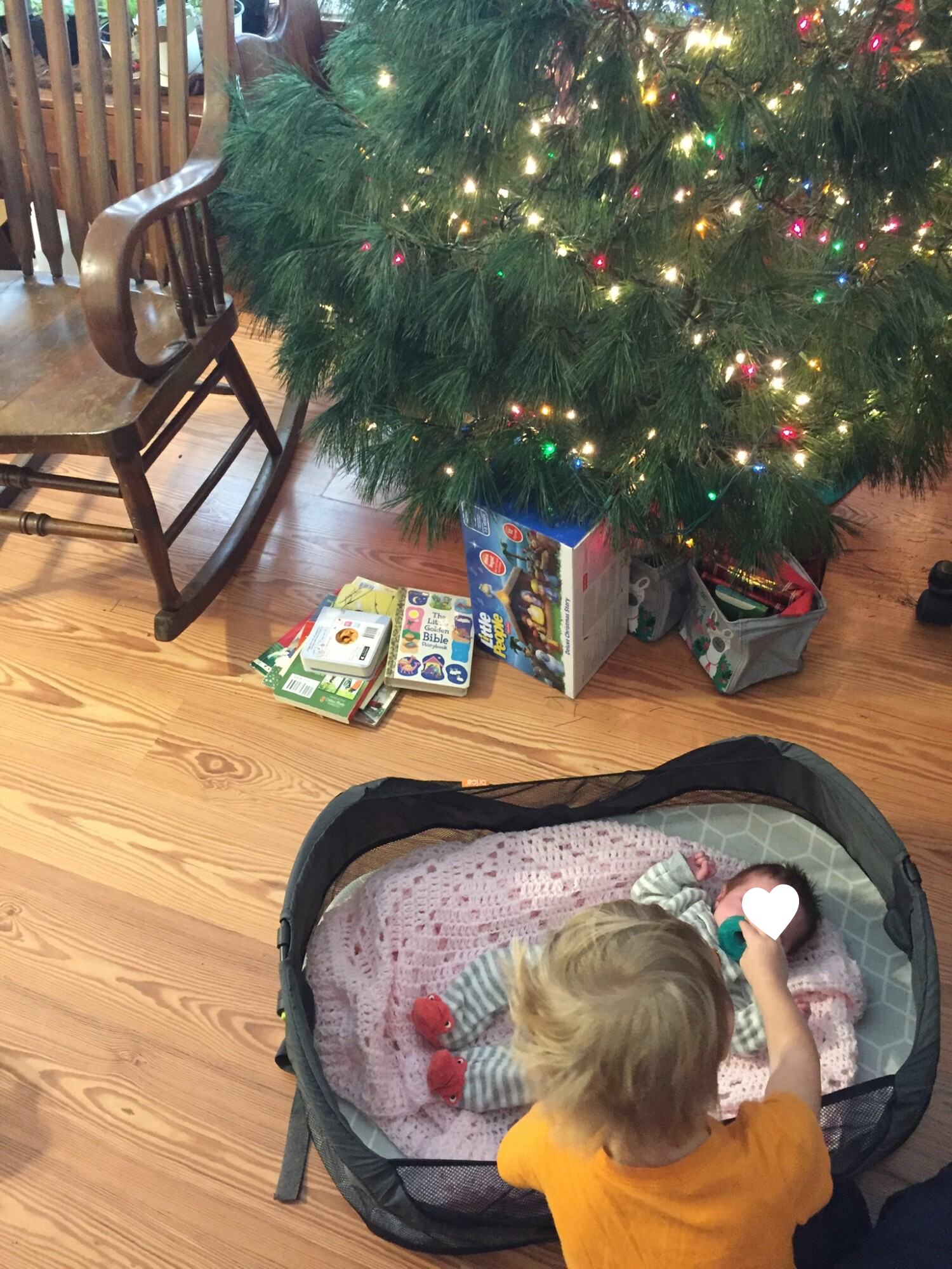 Then in 2019 we were surprised by being asked to be the kinship foster home for Miss M, leading to another baby under the tree!