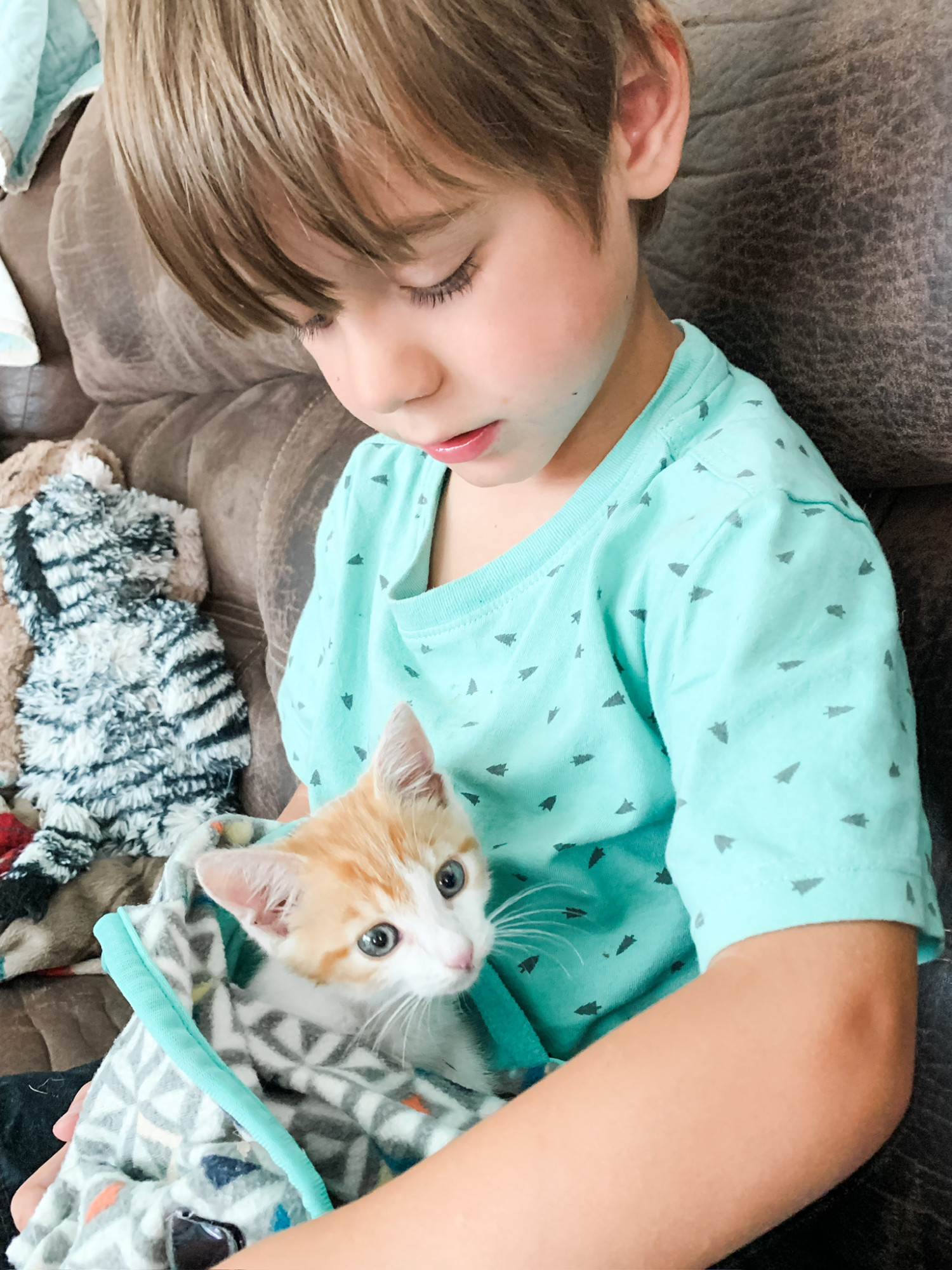 Our family added Ralph, the “homeschool cat” this summer! He went from an extremely lucky kitten to have been rescued by my husband in a busy parking lot to a treasured member of the family who gets held while he naps and read to during school time!