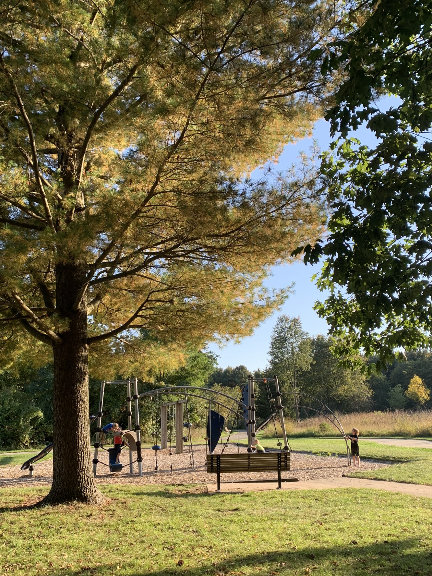 My kiddos enjoying one of the many playgrounds in Ox Bow Park