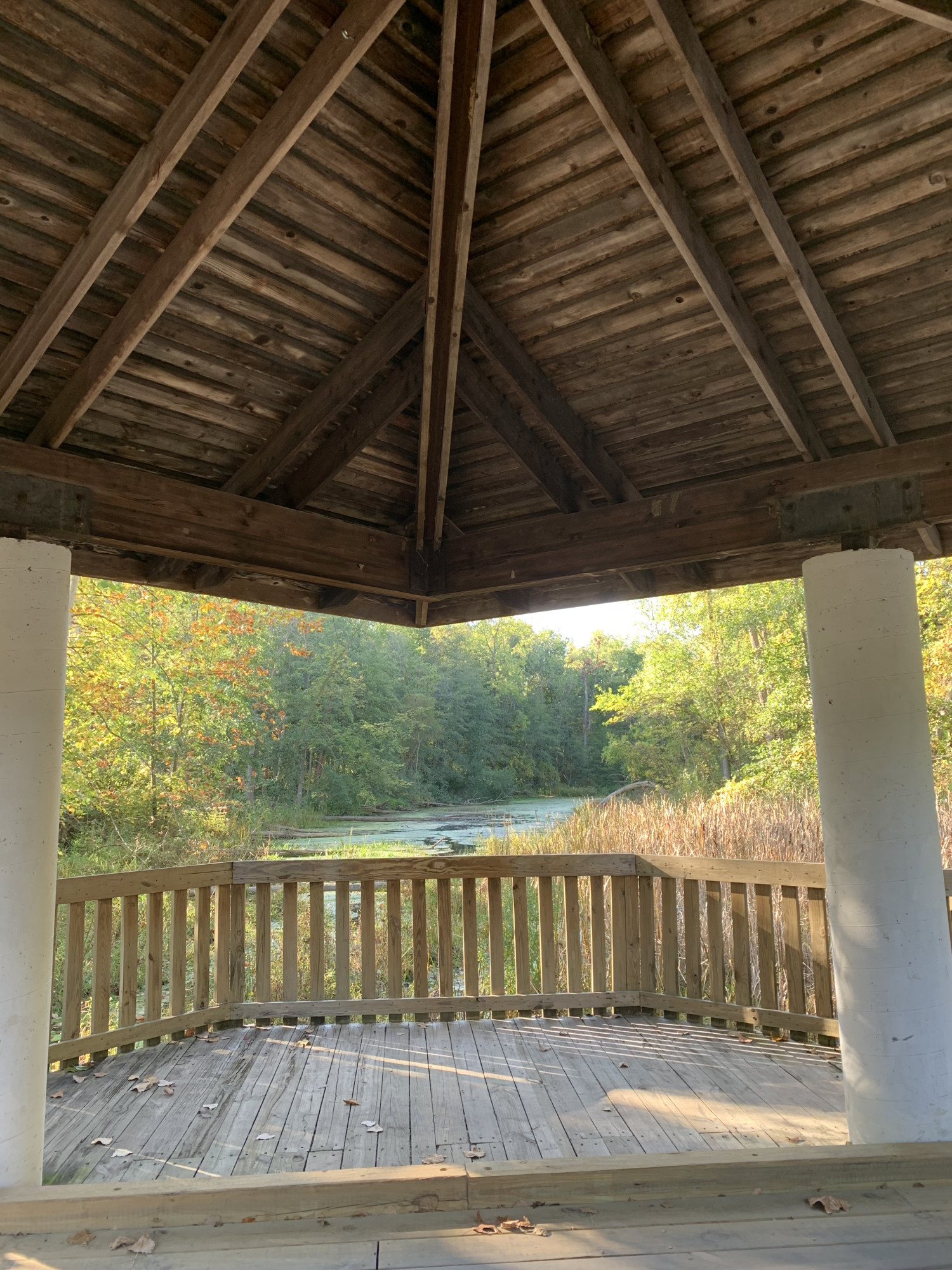 A view from under the covered bridge, which we first hiked across, then drove across when we left the park.