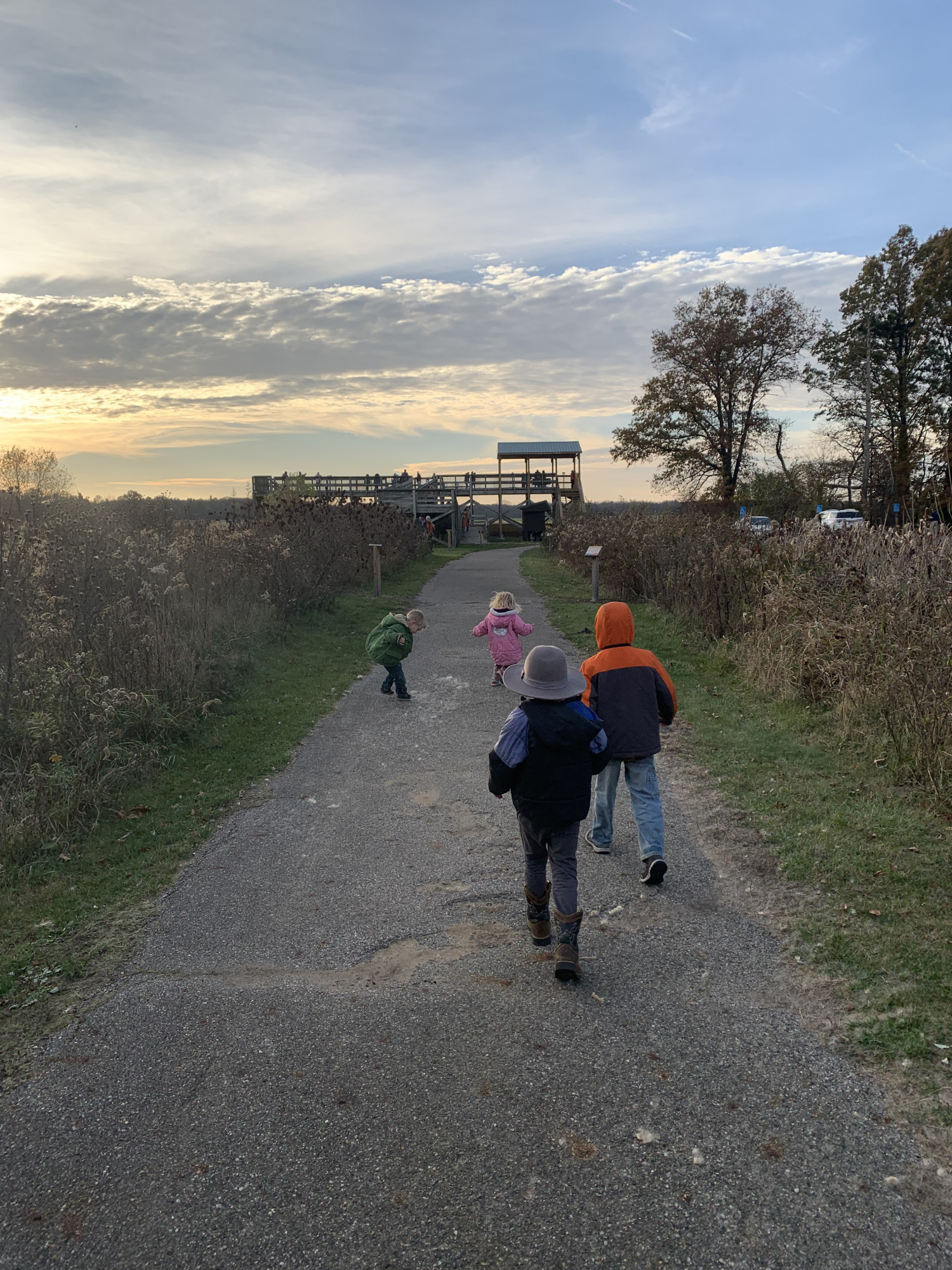 Our crew headed to the sandhill crane observation tower at the Jasper-Pulaski Fish & Wildlife Area near Medaryville Indiana.