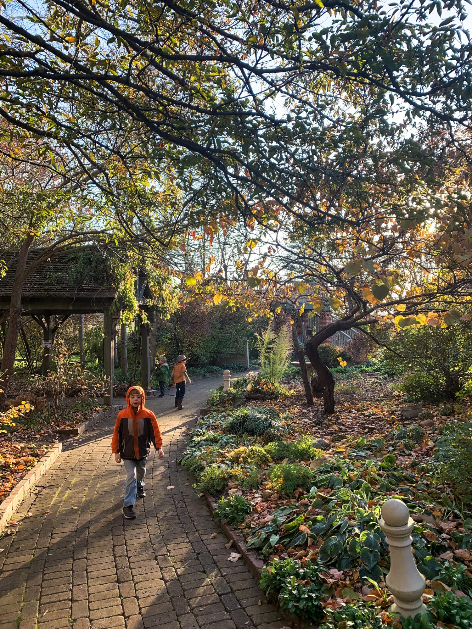 Even though it was not spring, I felt the spring to summer section was especially pretty with the light that day.