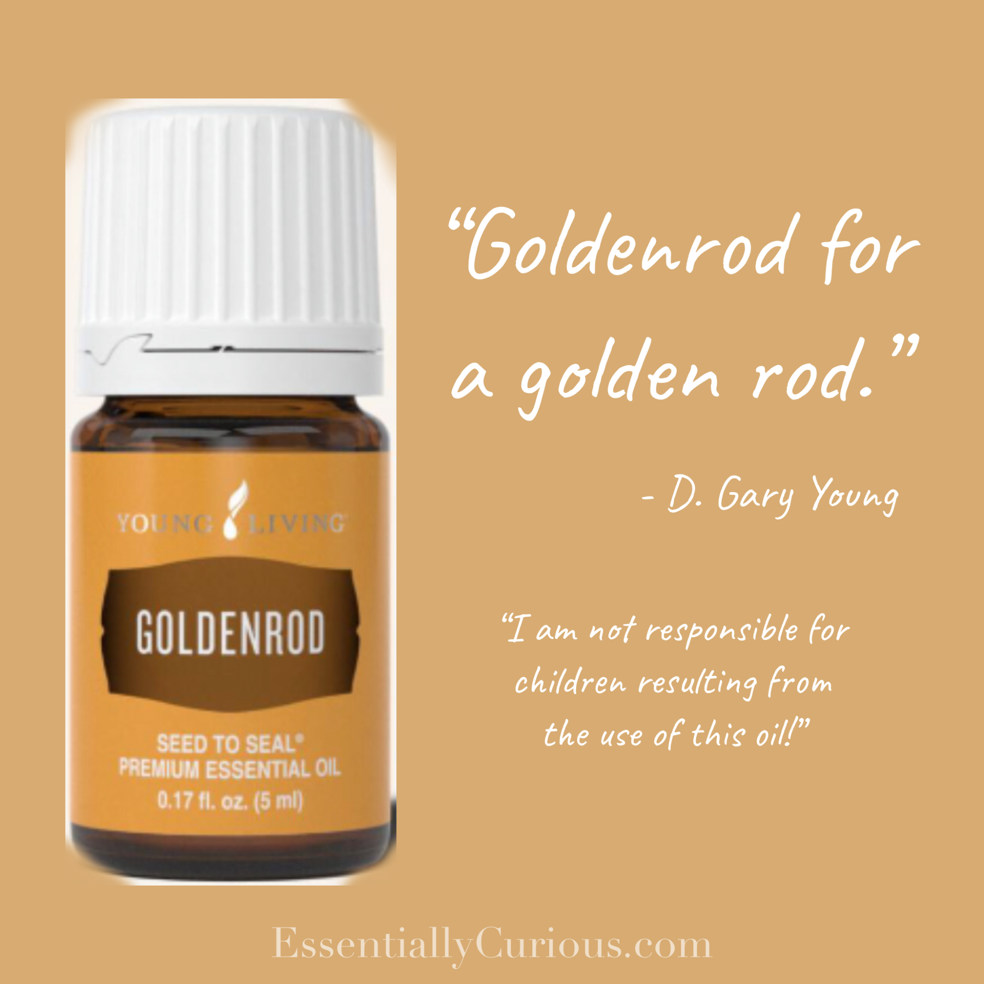 Goldenrod for a golden rod. D. Gary Young. I am not responsible for children resulting from the use of this oil. Image of Goldenrod essential oil