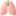 🫁