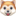 🐶