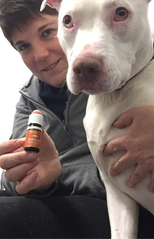 Essential oils and pet