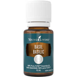 young living basil essential oil uses what does basil essential oil do how to make basil essential oil how to use basil essential oil basil essential oil for breastfeeding substitute for basil essential oil what is basil essential oil good for what is basil essential oil used for basil essential oil breastfeeding basil essential oil properties how to make basil essential oil at home basil essential oil for face basil essential oil blends well with make basil essential oil basil essential oil for hair growth benefits of basil essential oil basil essential oil uses basil essential oil recipe sweet basil essential oil benefits sweet basil essential oil uses basil essential oil for hair holy basil essential oil benefits health benefits of basil essential oil holy basil essential oil uses