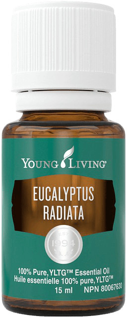 eucalyputs radiata uses eucalyptus radiata benefits