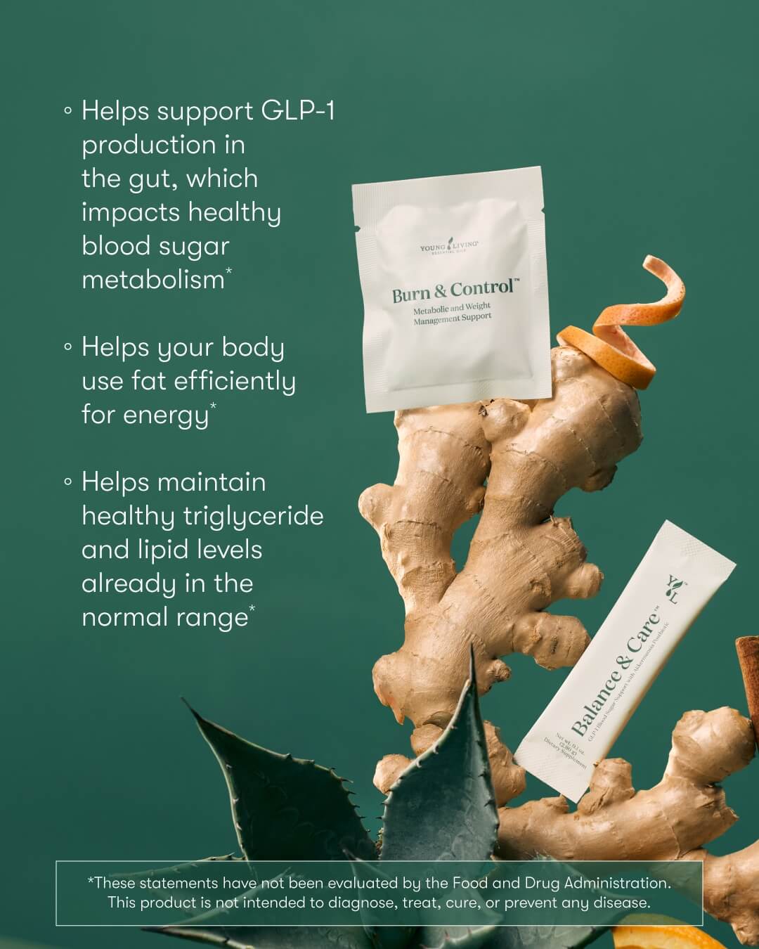 Botanical illustration related to gut health