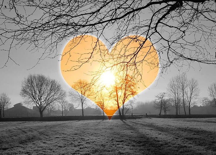 Heart health and emotions wellness education Zoom call