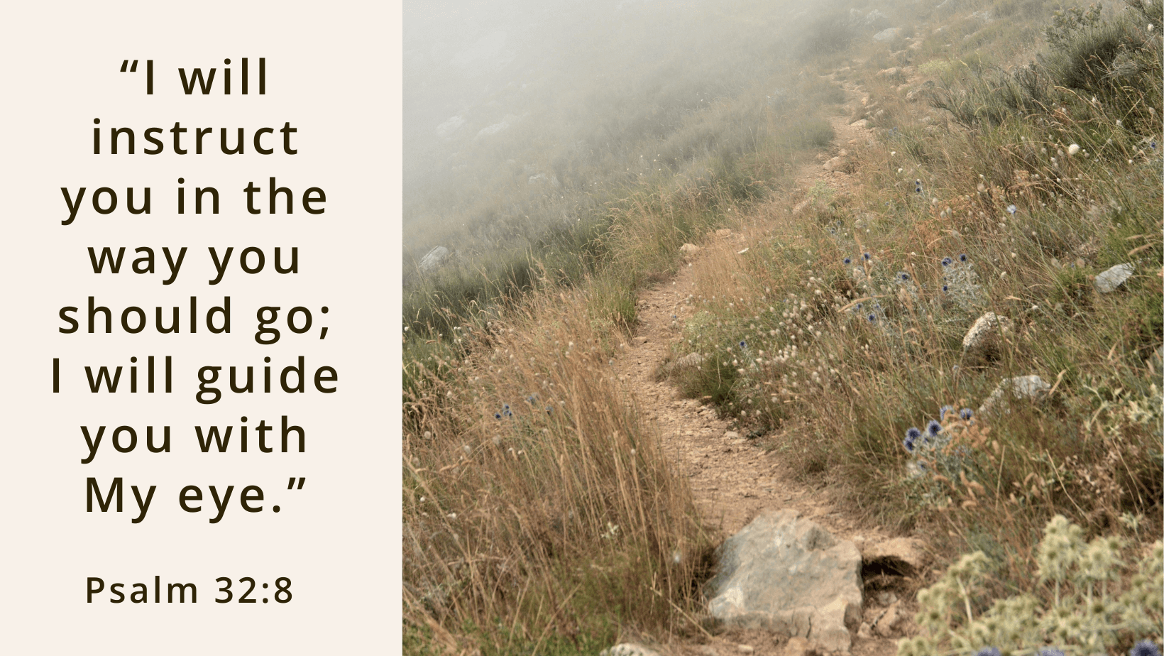 Image of a path on a hill with text: “I will instruct you in the way you should go; I will guide you with My eye.” — Psalm 32:8