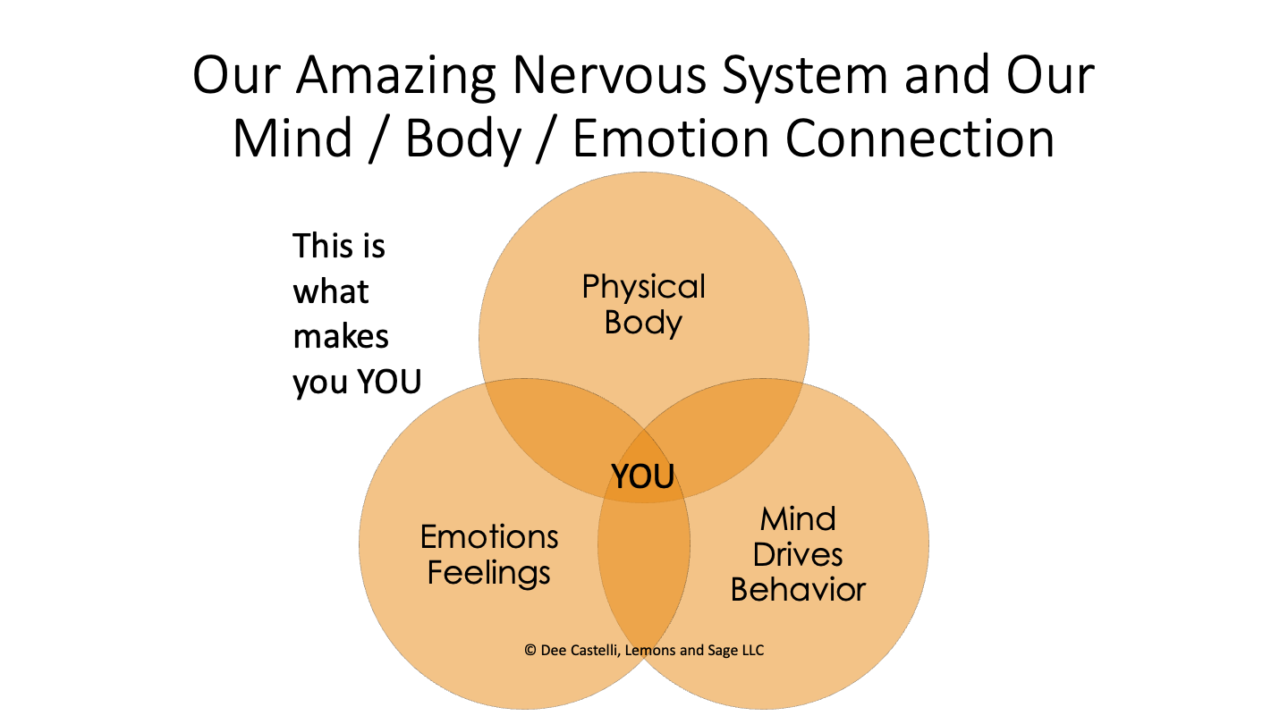 sual excerpt from my Emotional Balance workshop