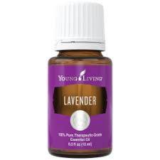 Image result for yl lavender