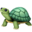 🐢