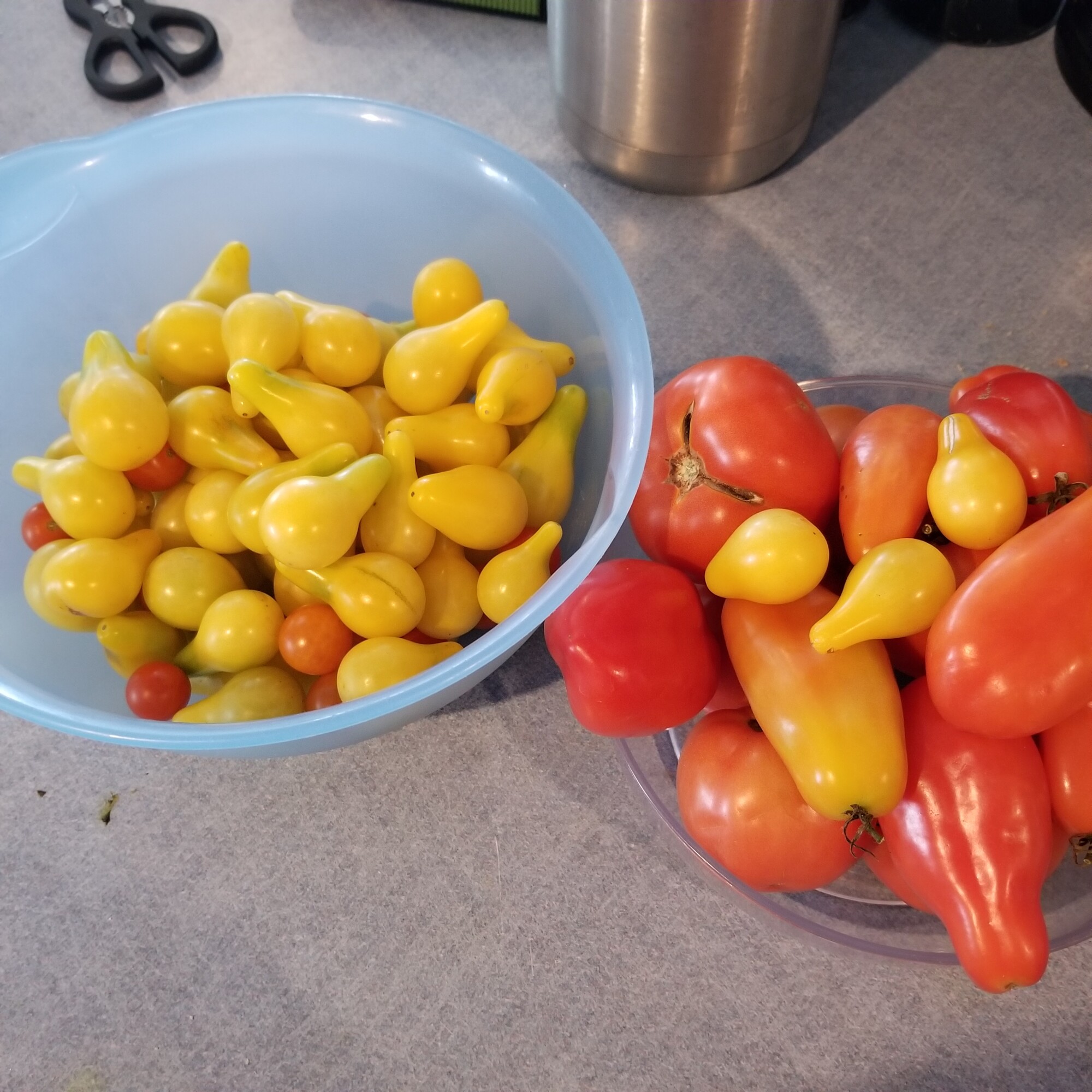 bowls of fresh tomatoes