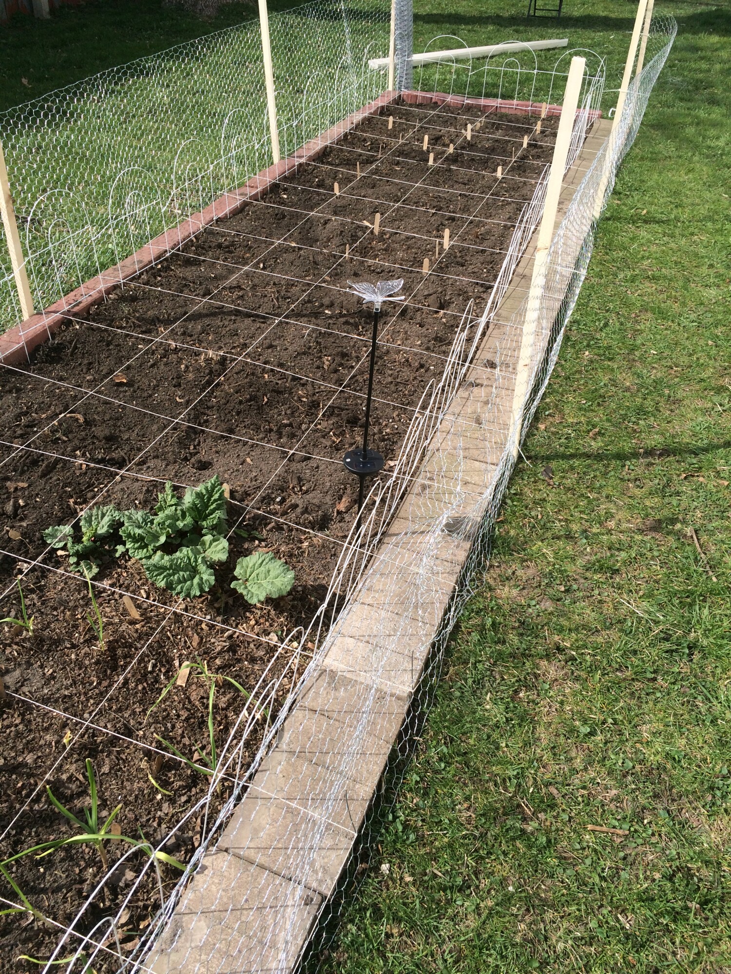 garden bed in sun